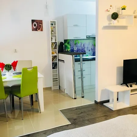 Seasons 布拉索夫